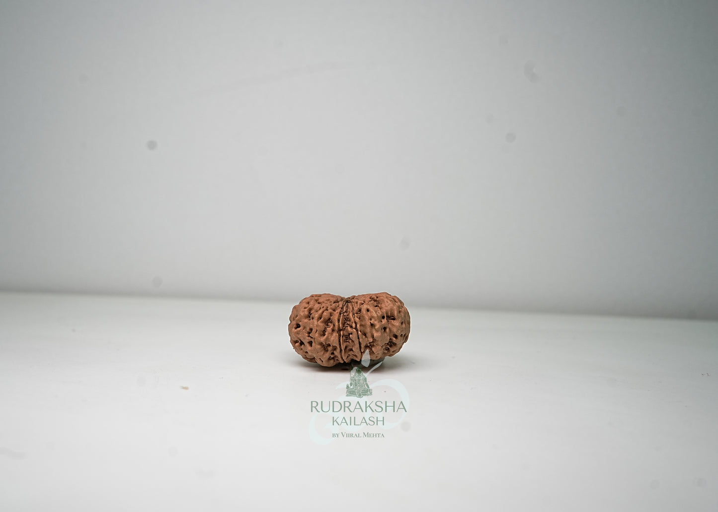 11 Mukhi Nepali Rudraksha - 1110