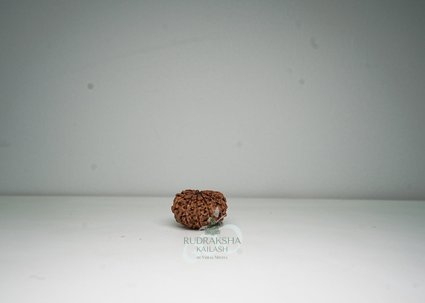 11 Mukhi Nepali Rudraksha - 1112