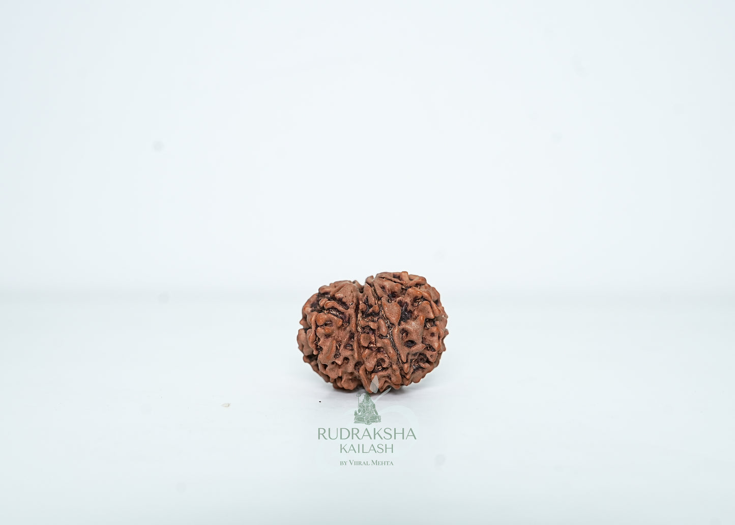 9 Mukhi Nepali Rudraksha - 0905