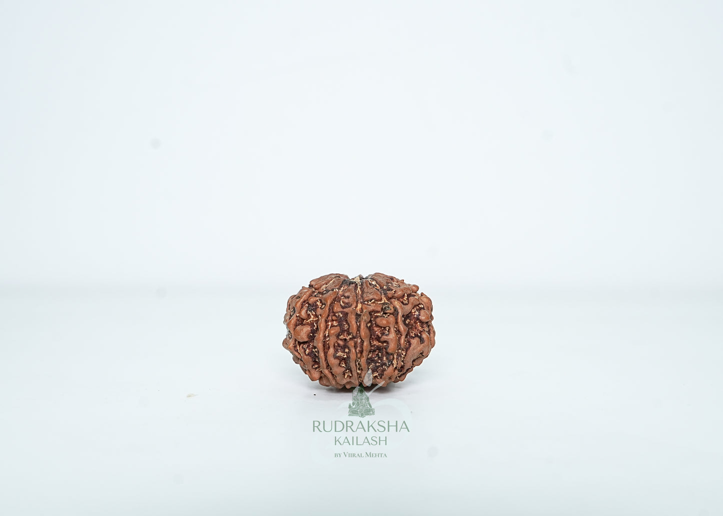 9 Mukhi Nepali Rudraksha - 0906
