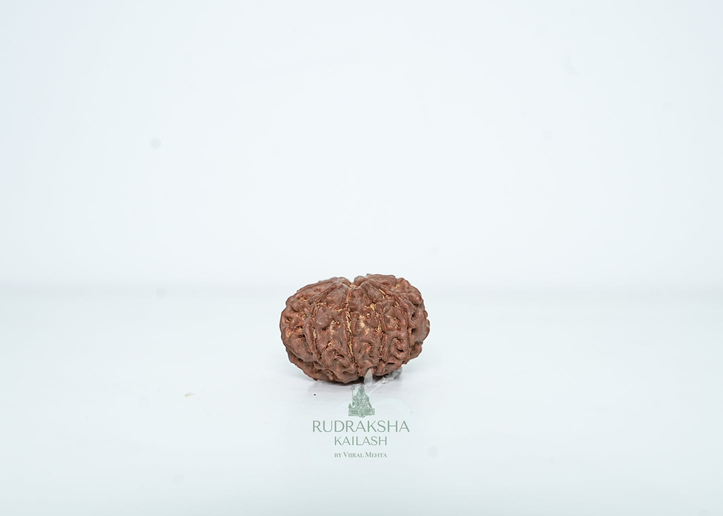 9 Mukhi Nepali Rudraksha - 0907