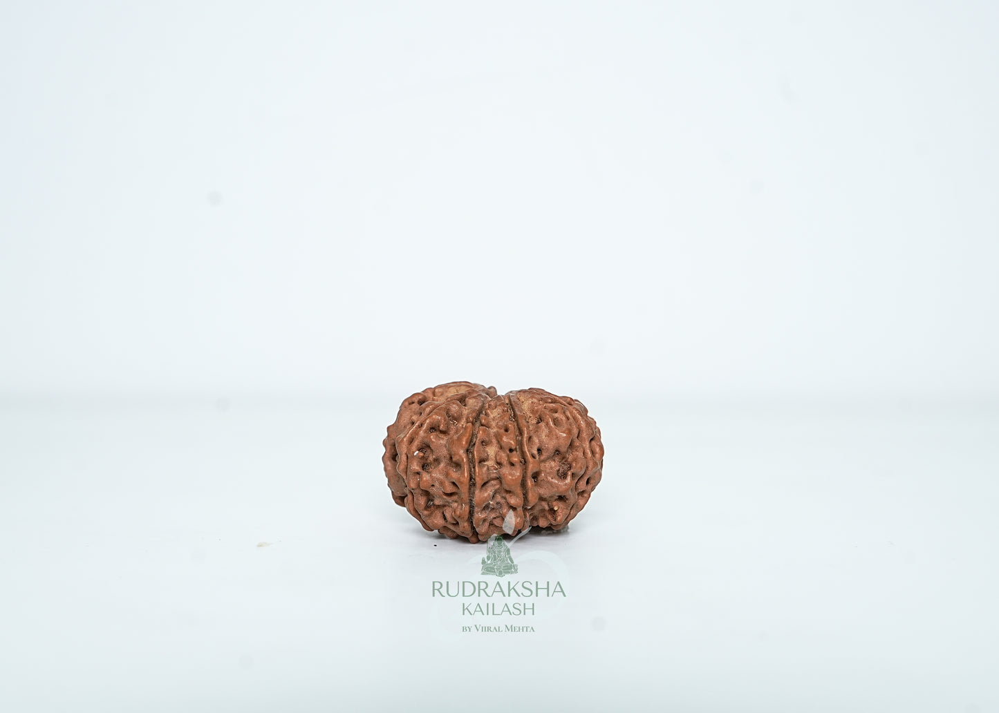 9 Mukhi Nepali Rudraksha - 0908