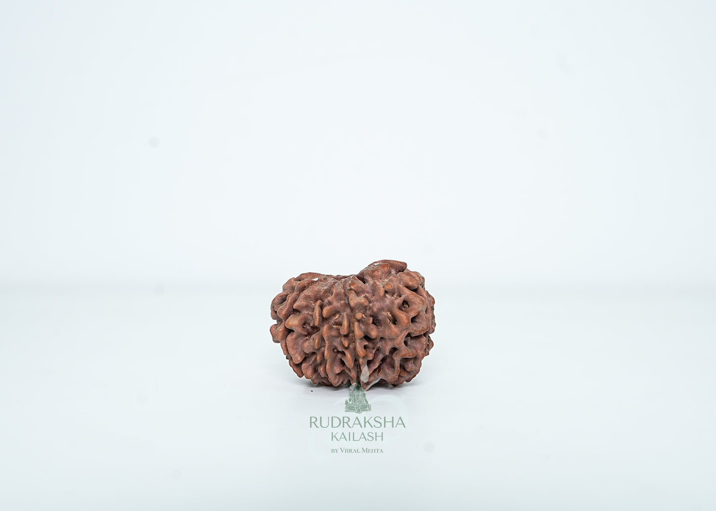 9 Mukhi Nepali Rudraksha - 0912