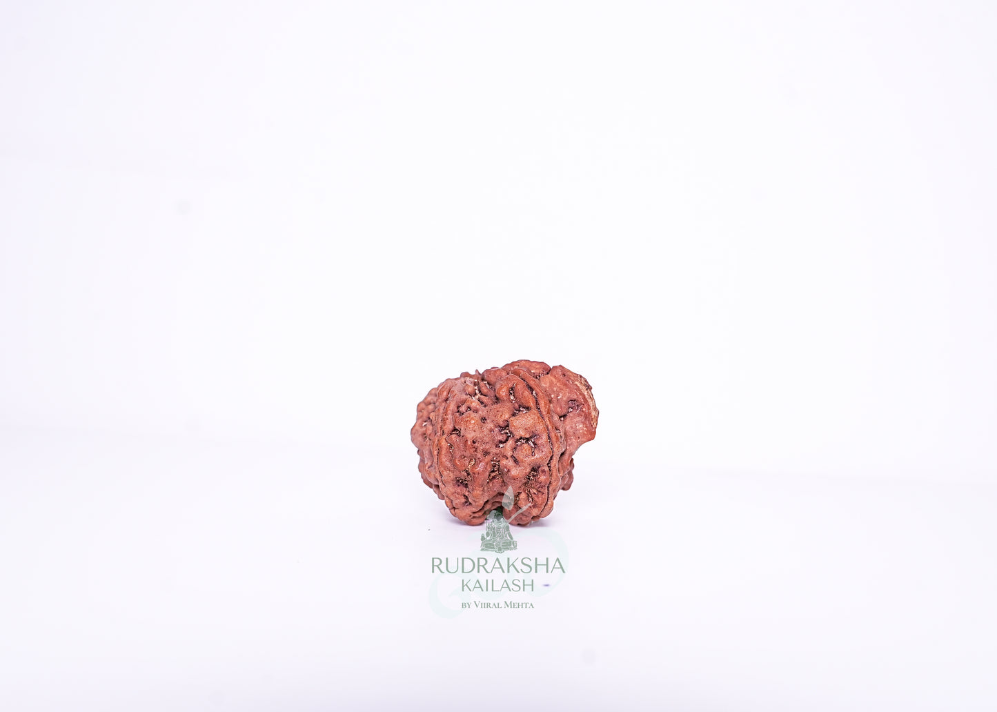 Nepal G Rudraksha - 02
