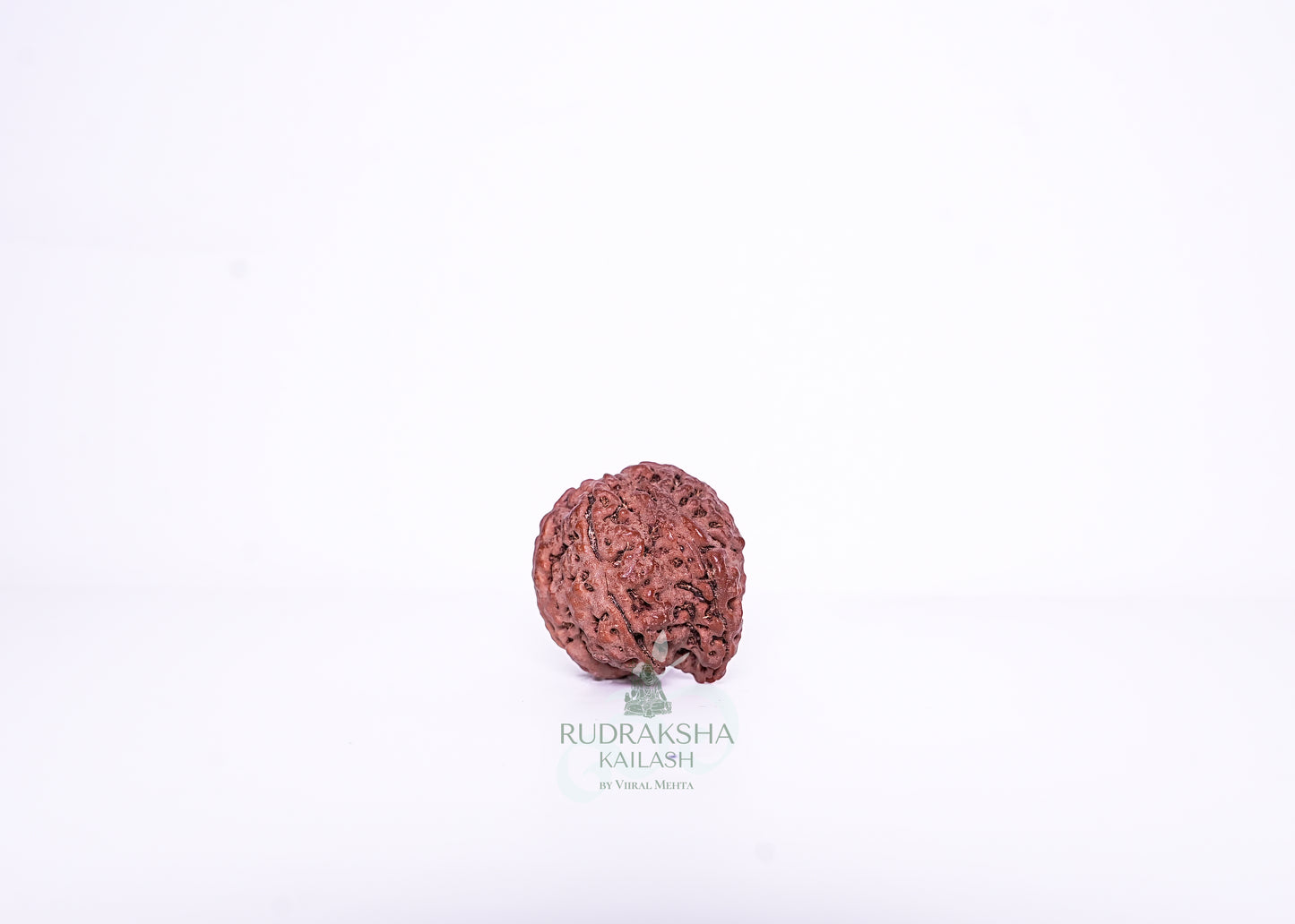 Nepal G Rudraksha - 07