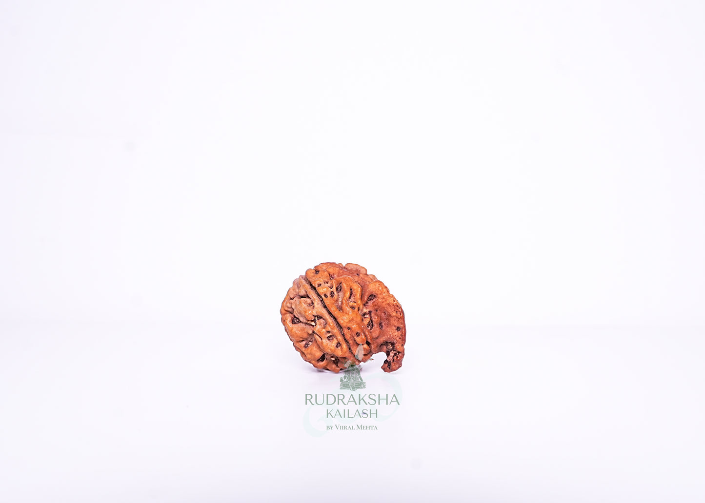 Nepal G Rudraksha - 14