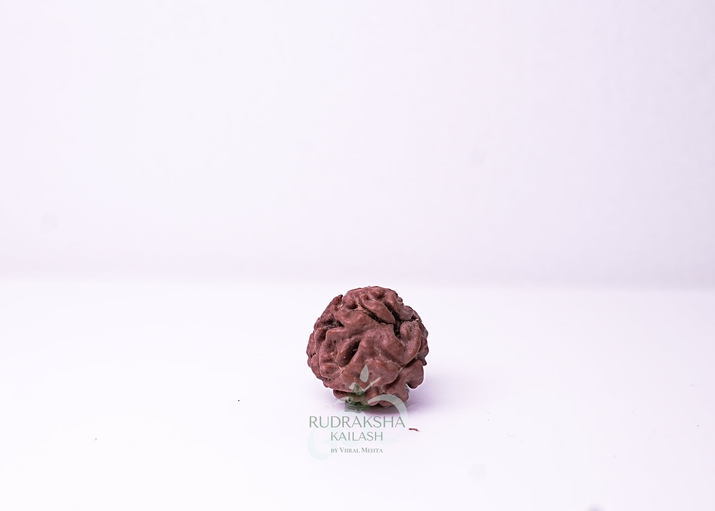 3 Mukhi Nepali Rudraksha - 0311