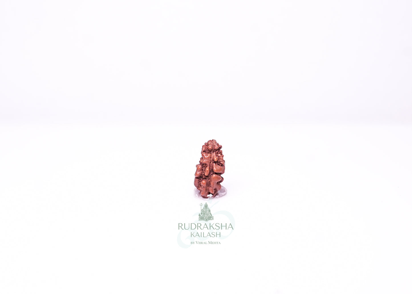 1 Mukhi Indonesian Rudraksha - 0103