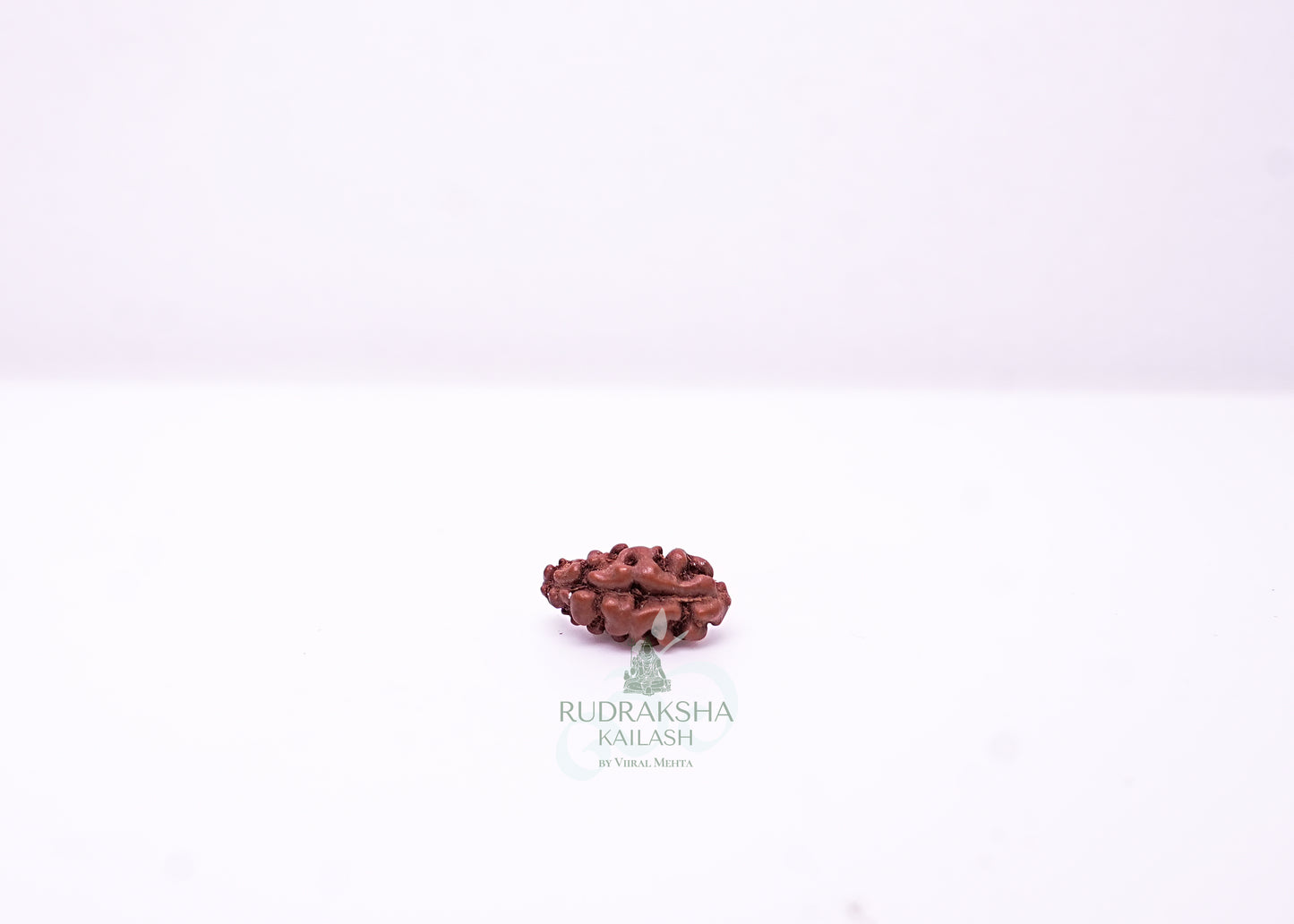 1 Mukhi Indonesian Rudraksha - 0106