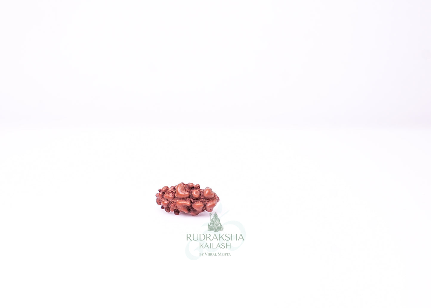 1 Mukhi Indonesian Rudraksha - 0110
