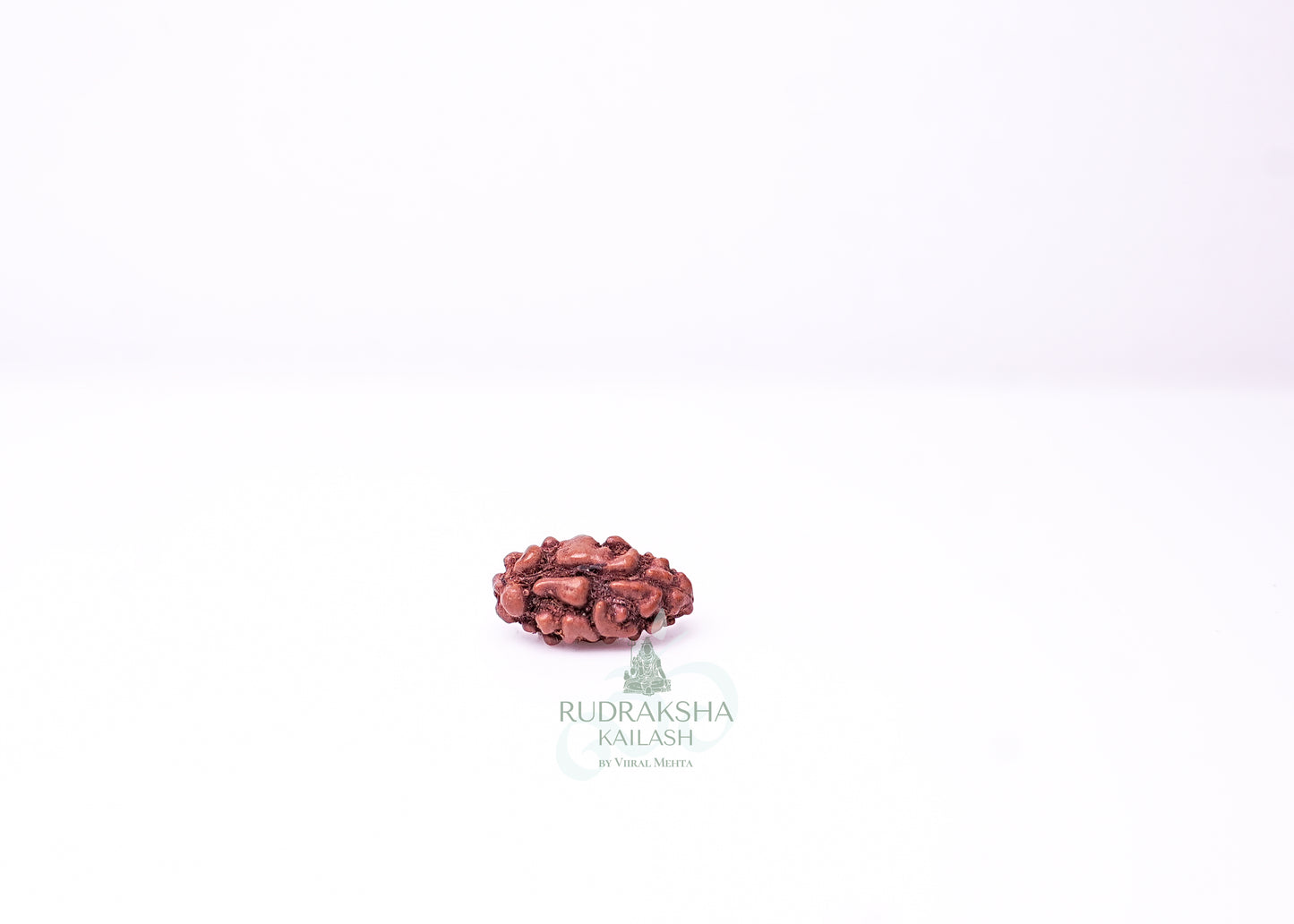 1 Mukhi Indonesian Rudraksha - 0112