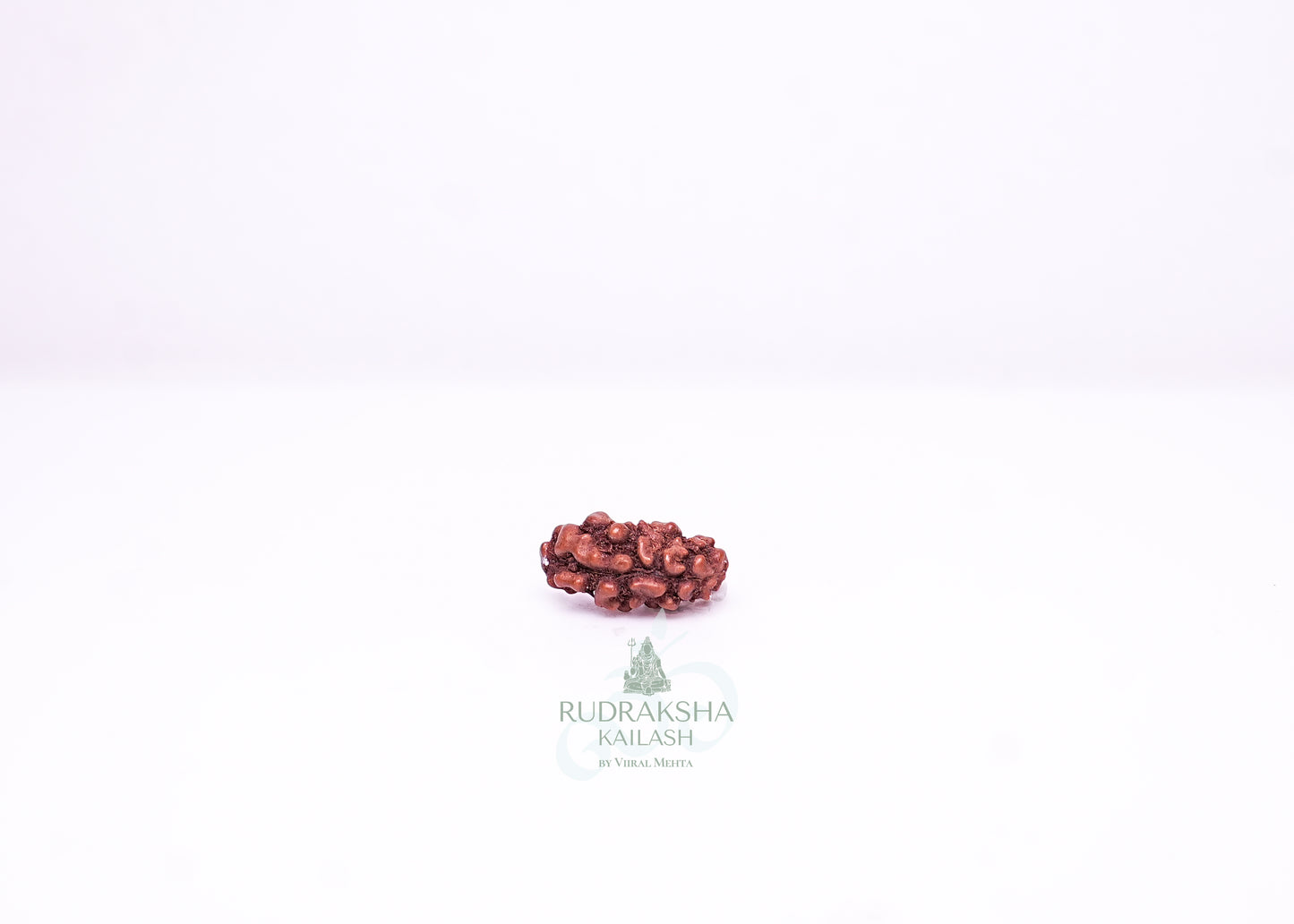 1 Mukhi Indonesian Rudraksha - 0113
