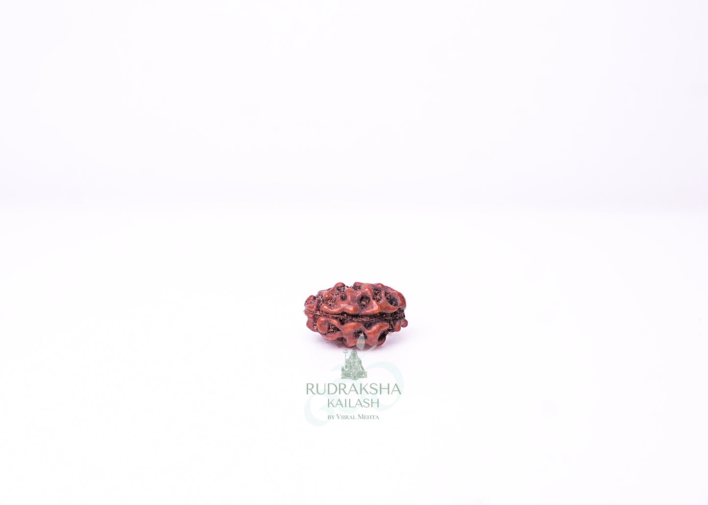 1 Mukhi Indonesian Rudraksha - 0114