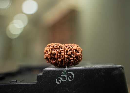 Rudraksha Meets Nanotechnology: A New Frontier in Cancer Research