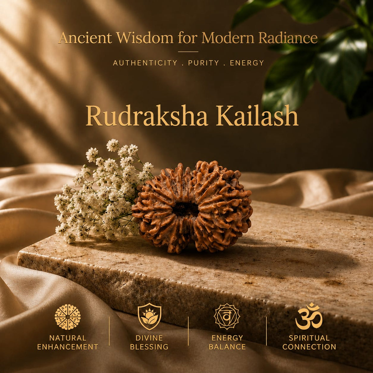 14 Mukhi Rudraksha