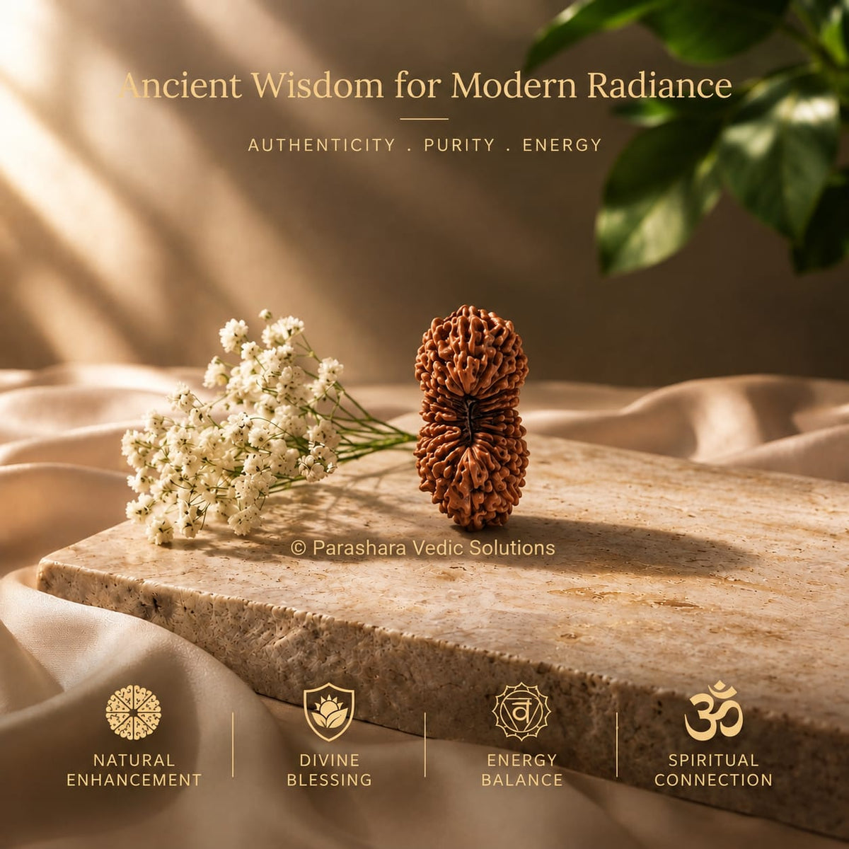Indonesian Rudraksha