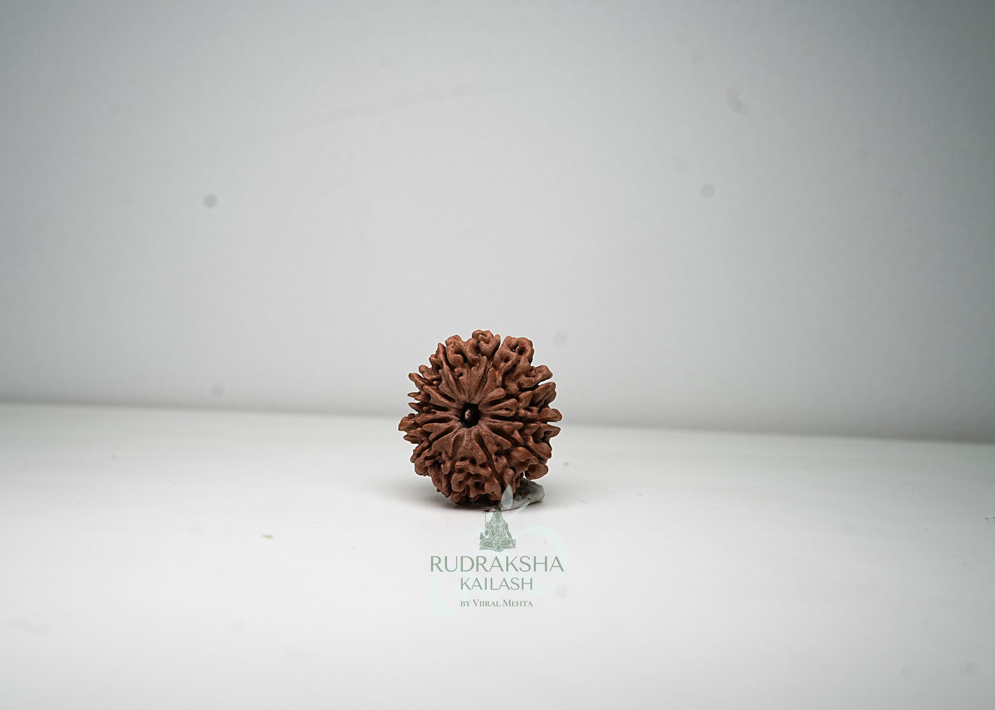 11 Mukhi Nepali Rudraksha - 1111
