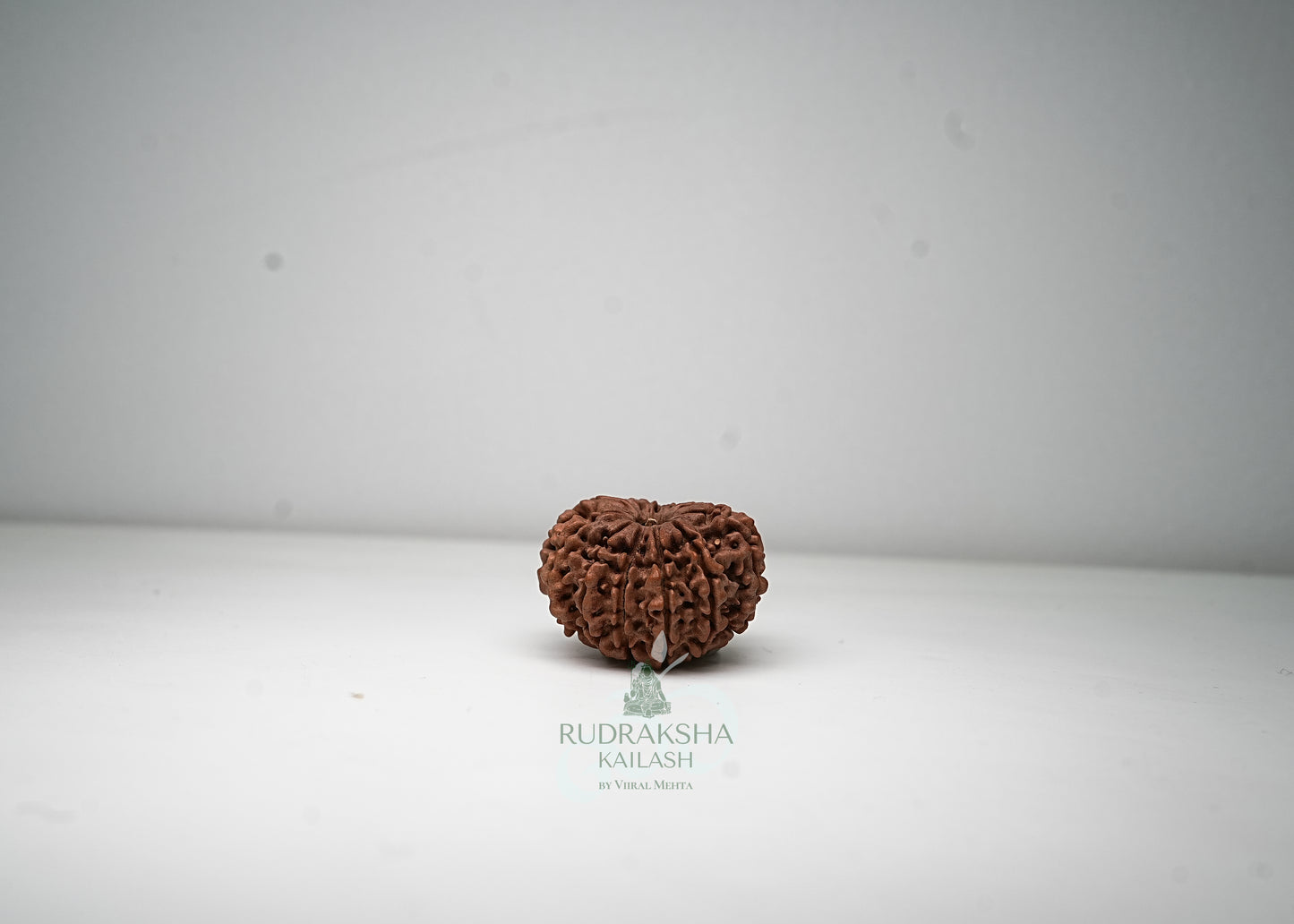 11 Mukhi Nepali Rudraksha - 1111