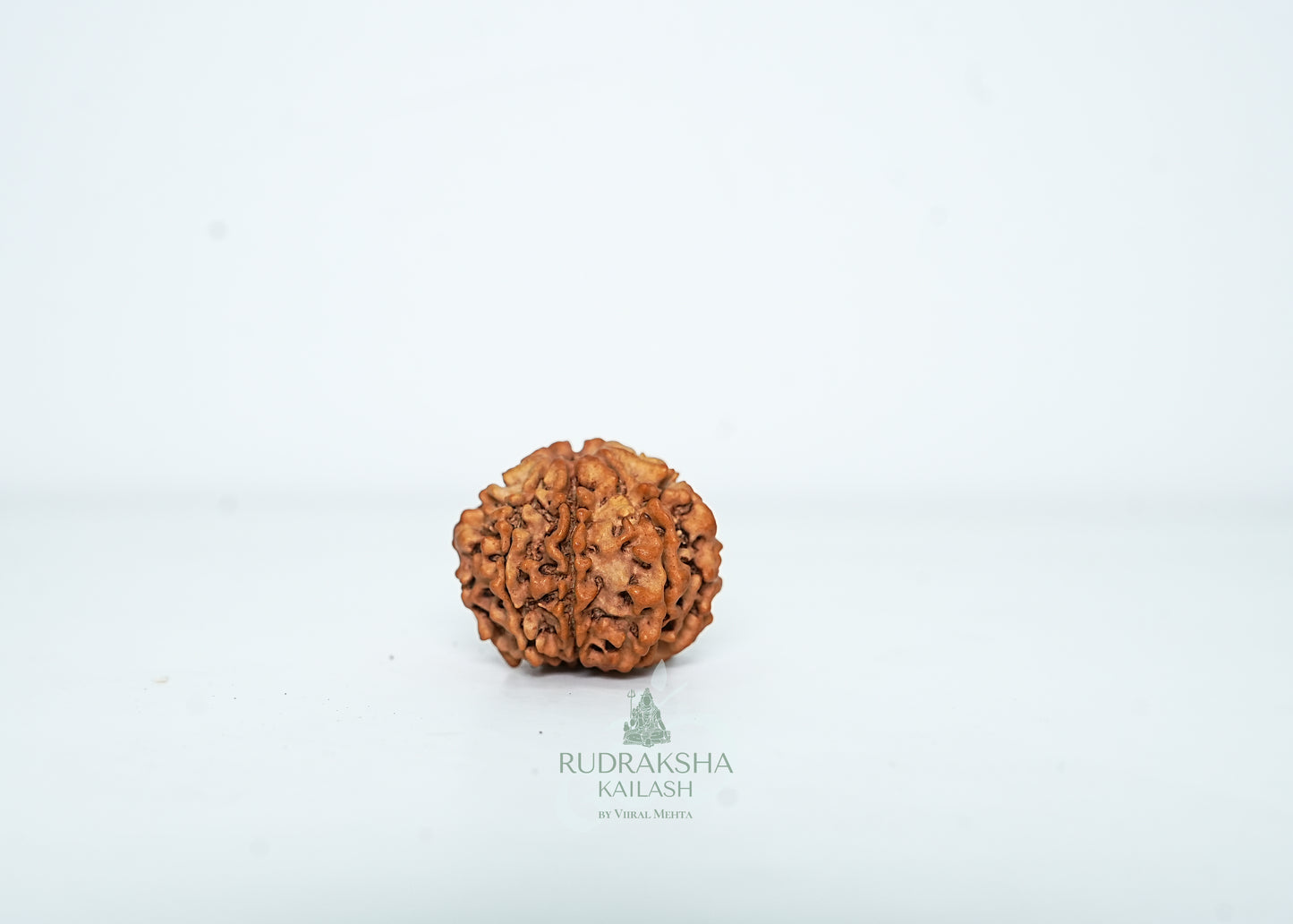 8 Mukhi Nepali Rudraksha - 0803