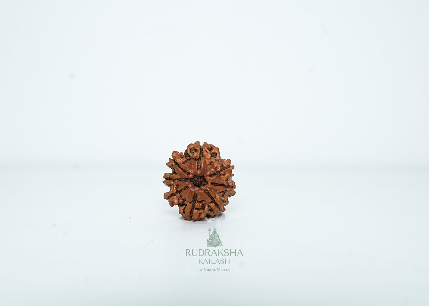 8 Mukhi Nepali Rudraksha - 0807