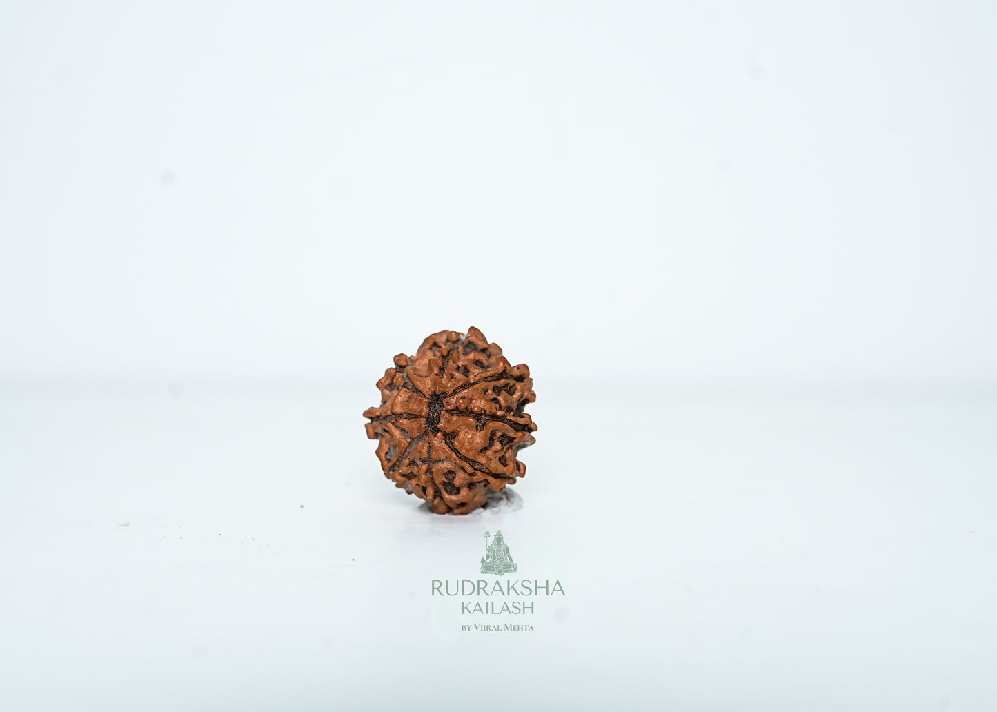 8 Mukhi Nepali Rudraksha - 0807