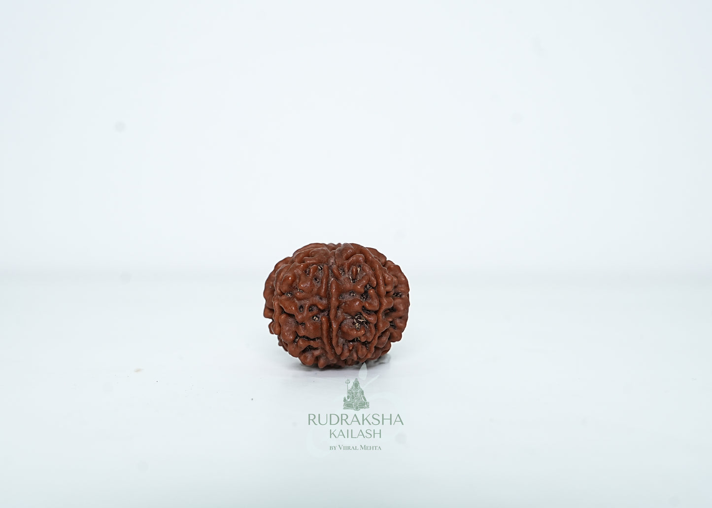 8 Mukhi Nepali Rudraksha - 0809