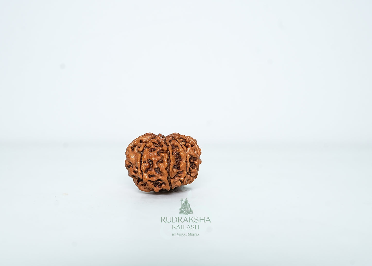 8 Mukhi Nepali Rudraksha - 0814