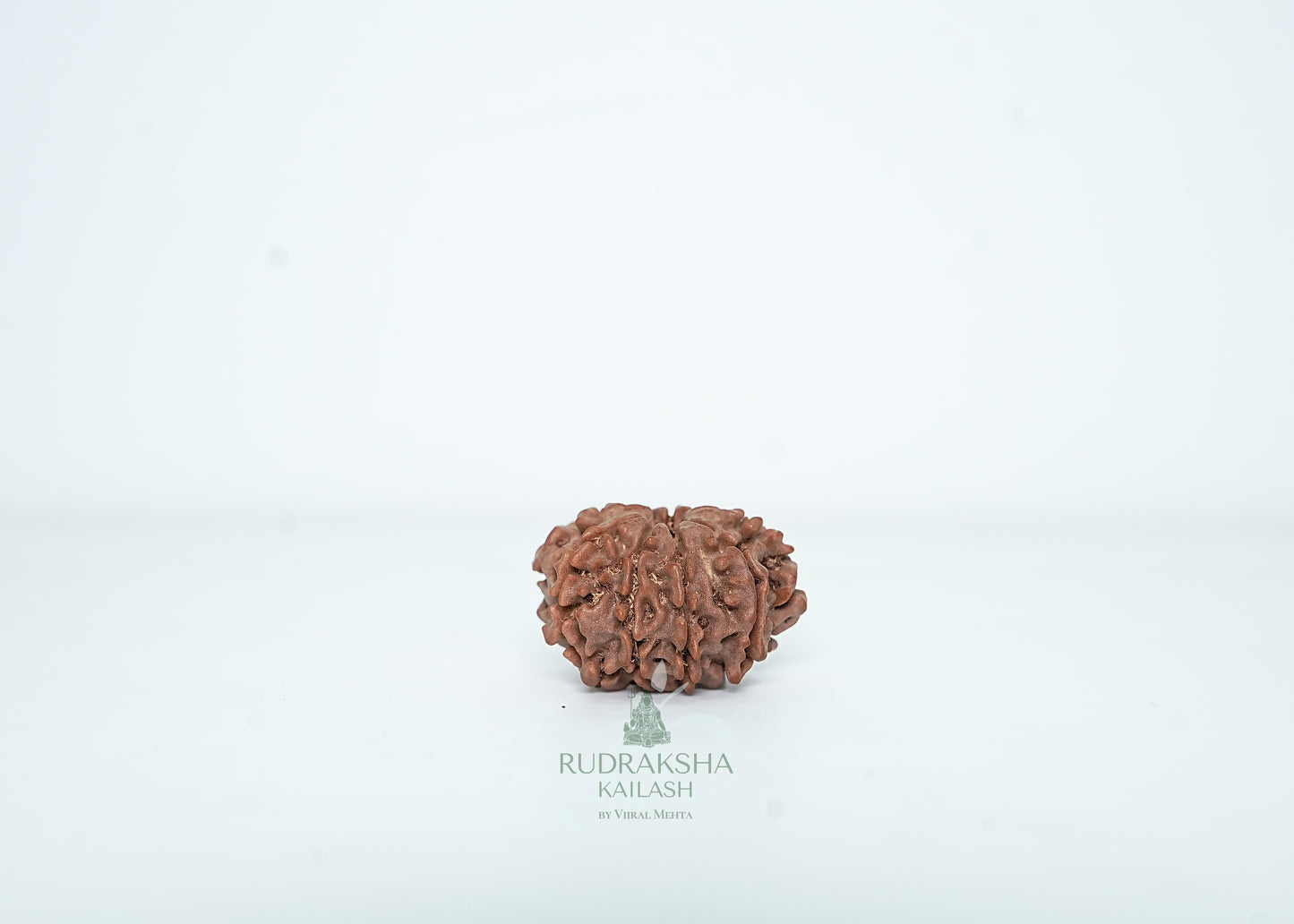 9 Mukhi Nepali Rudraksha - 0910
