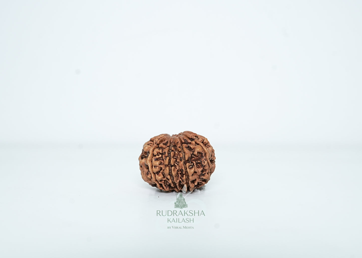 9 Mukhi Nepali Rudraksha - 0913