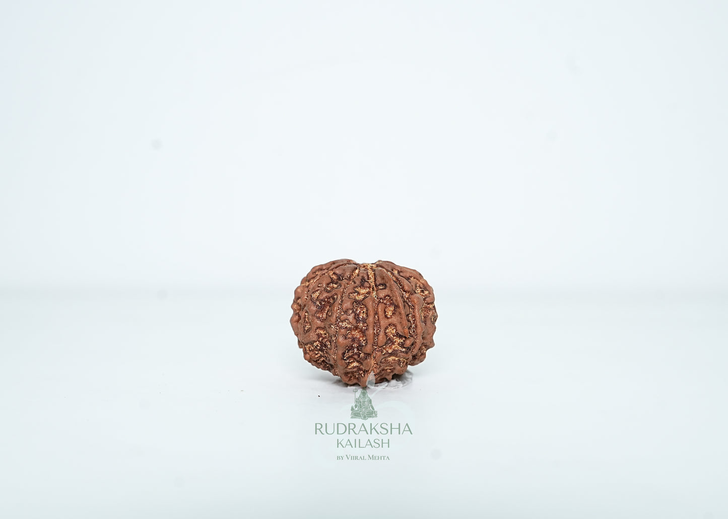 9 Mukhi Nepali Rudraksha - 0914