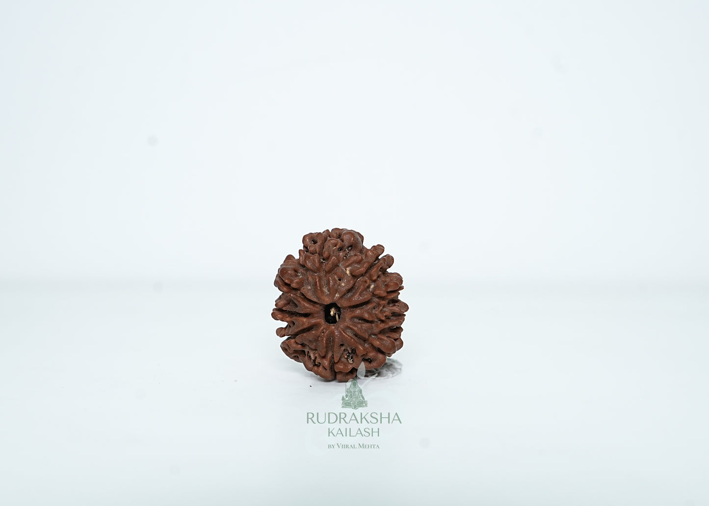9 Mukhi Nepali Rudraksha - 0915