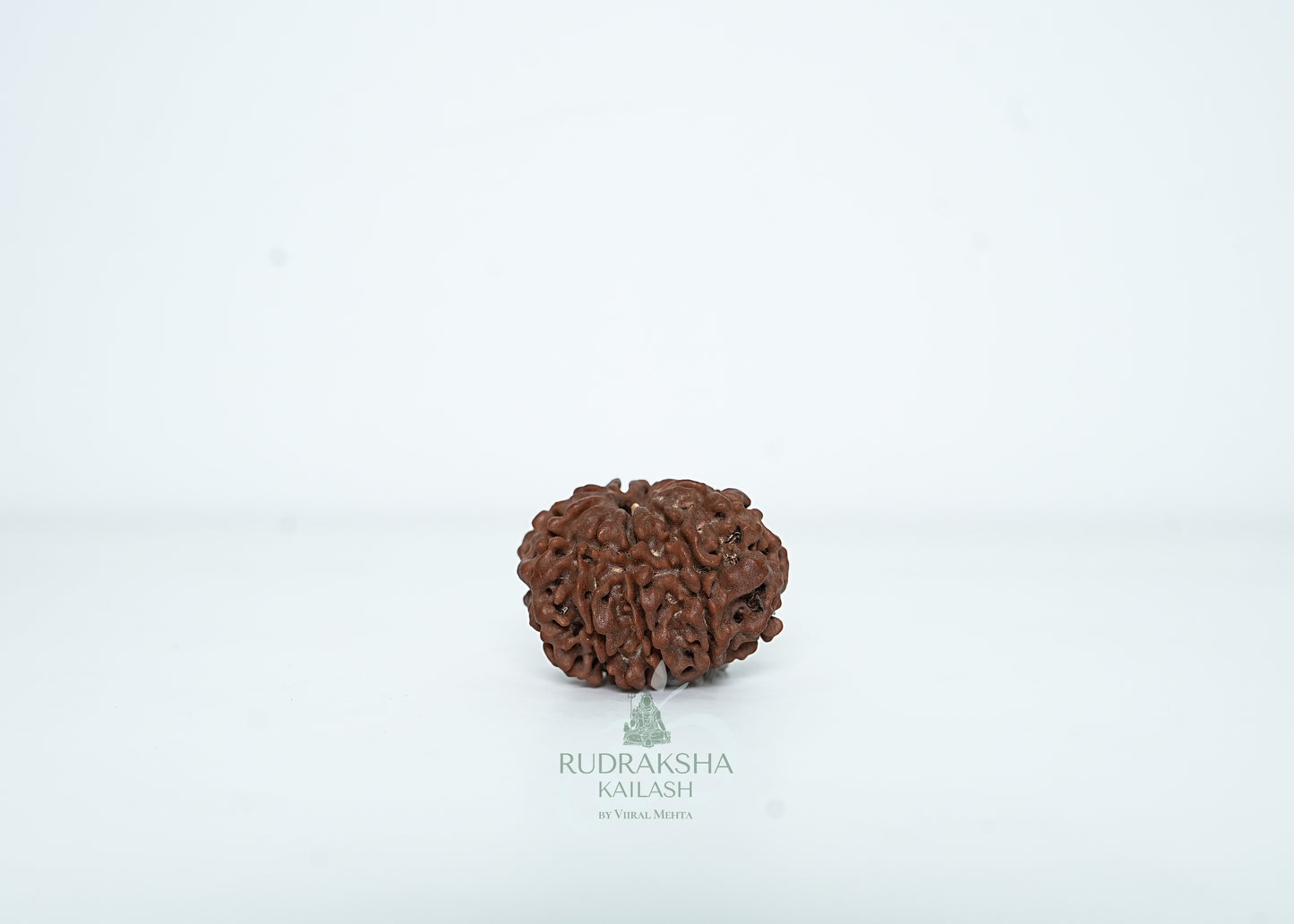 9 Mukhi Nepali Rudraksha - 0915