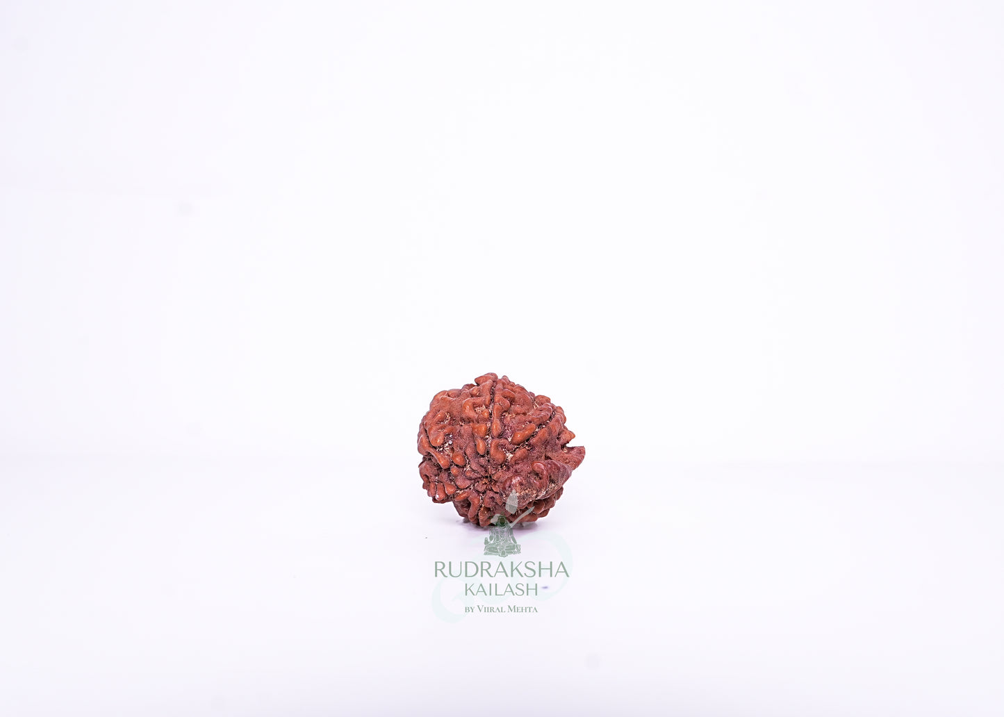 Nepal G Rudraksha - 01