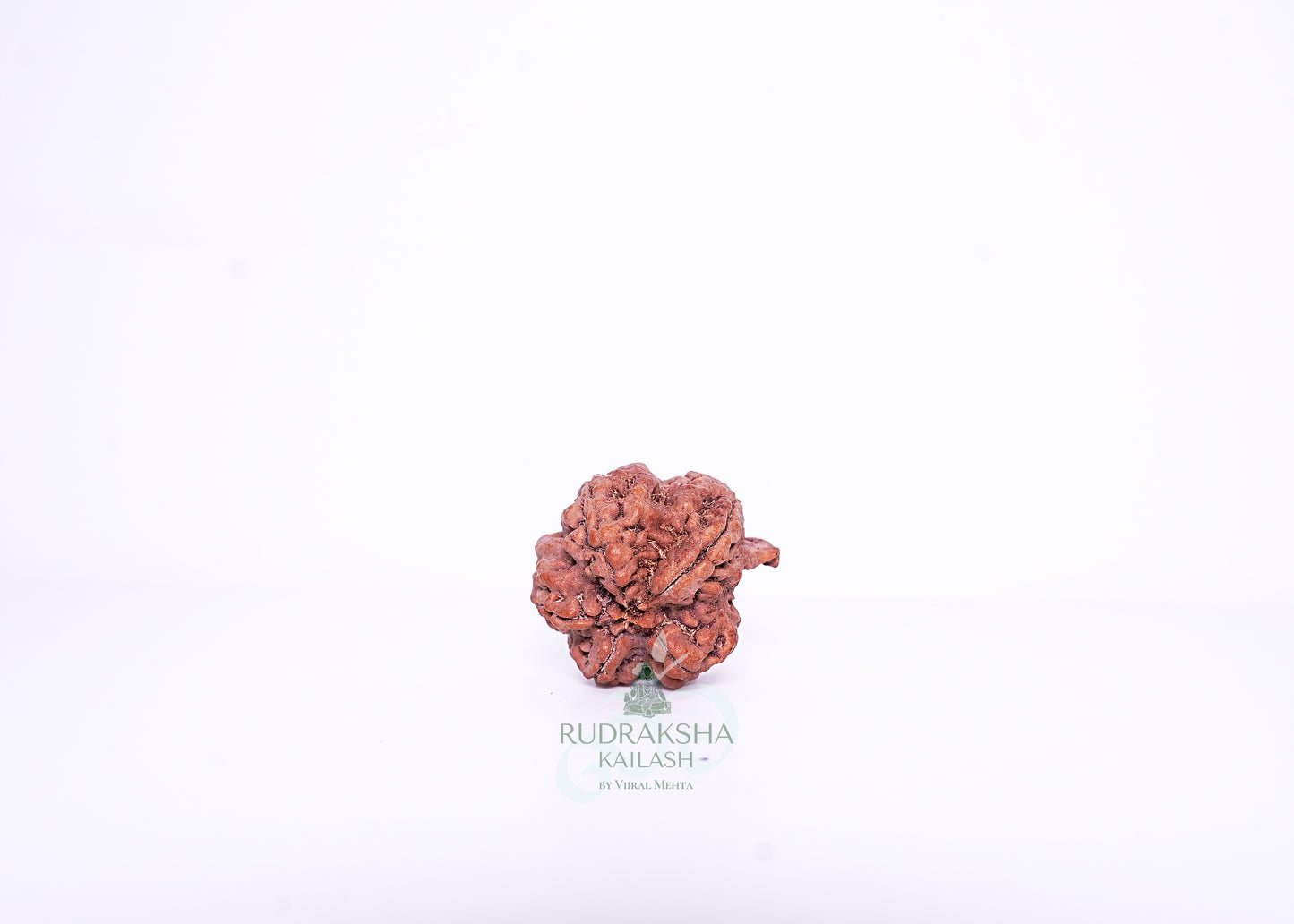 Nepal G Rudraksha - 02