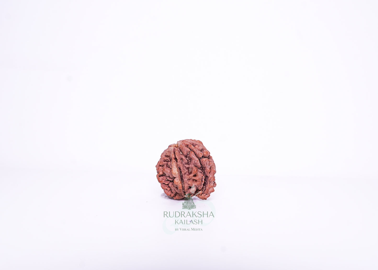 Nepal G Rudraksha - 03