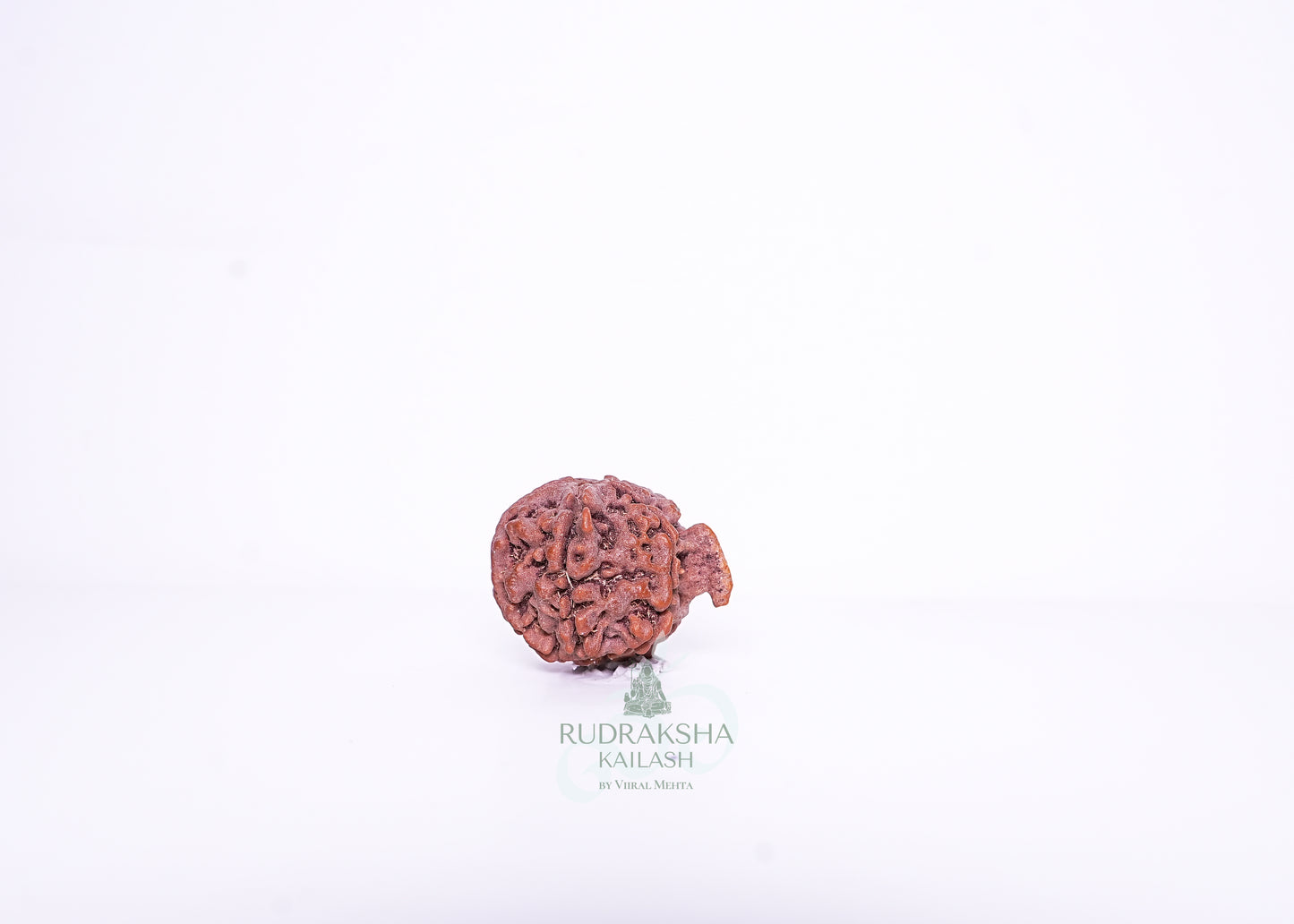 Nepal G Rudraksha - 05