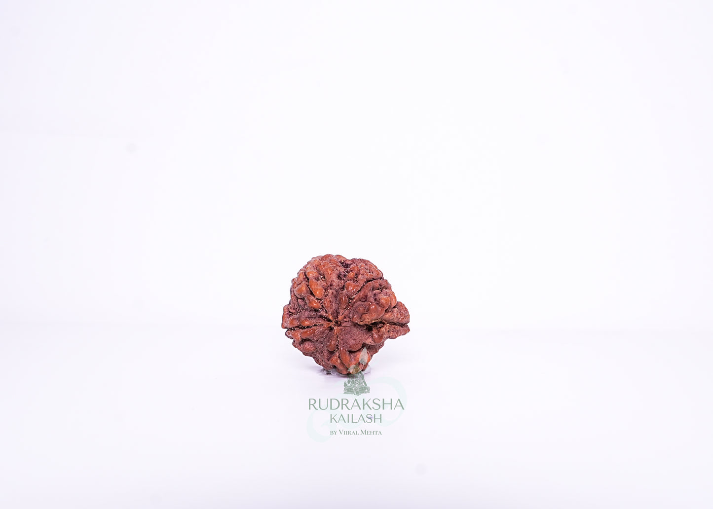 Nepal G Rudraksha - 06