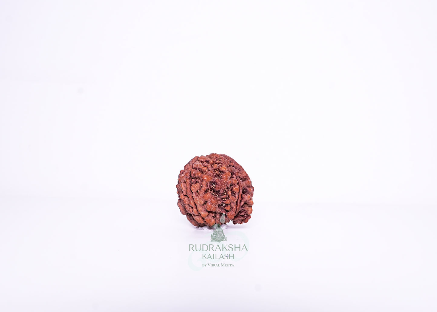 Nepal G Rudraksha - 06