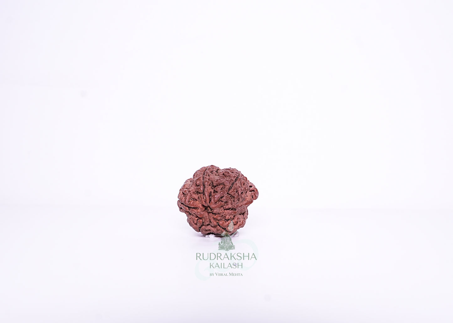 Nepal G Rudraksha - 07