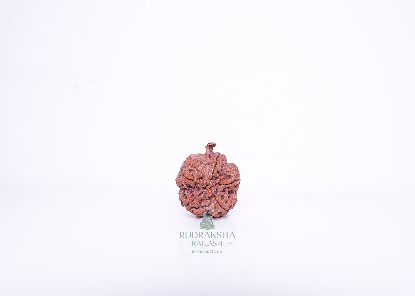 Nepal G Rudraksha - 09