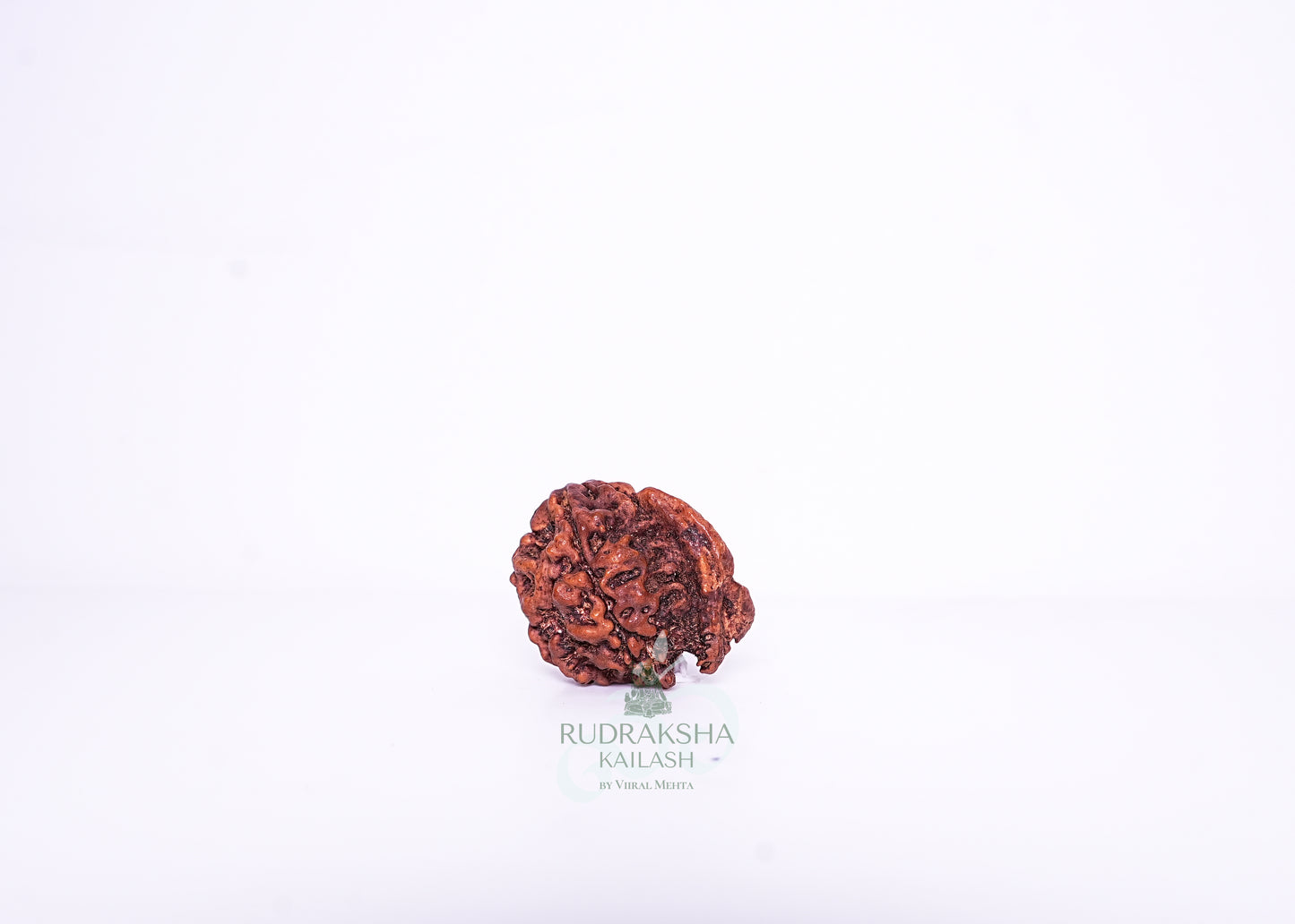 Nepal G Rudraksha - 10