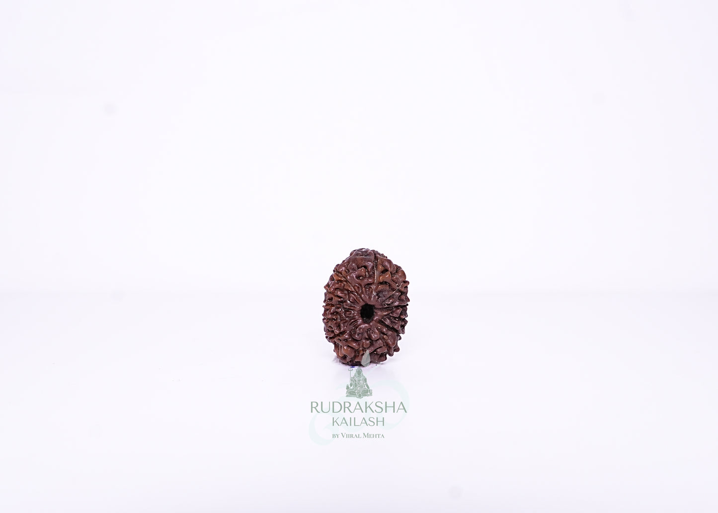 12 Mukhi Indonesian Rudraksha - 1213