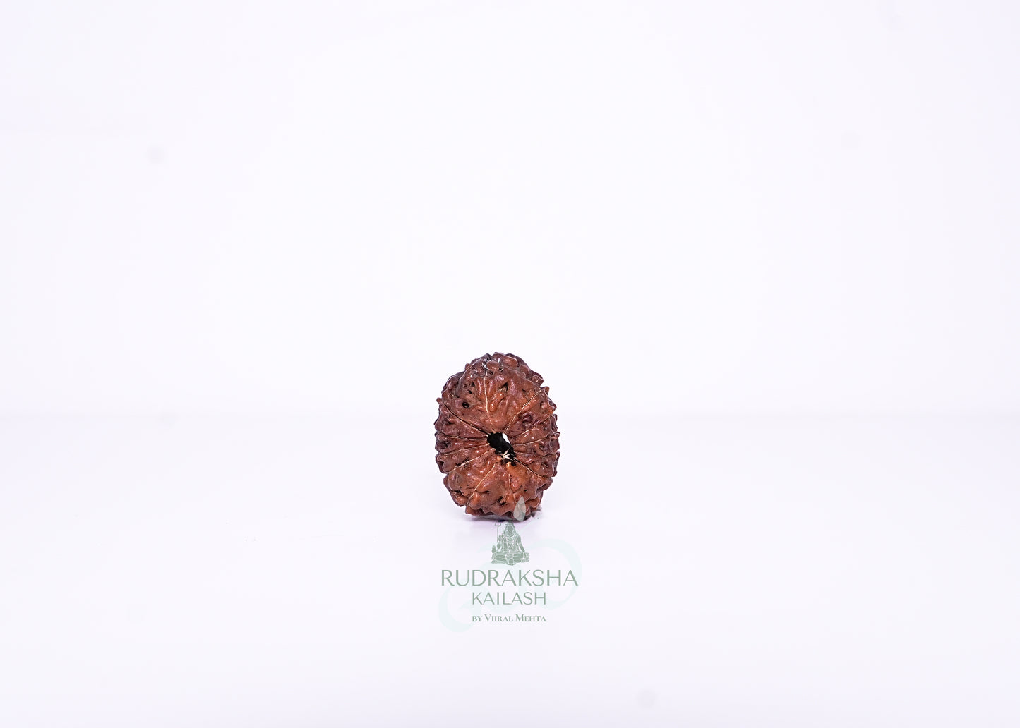12 Mukhi Indonesian Rudraksha - 1213