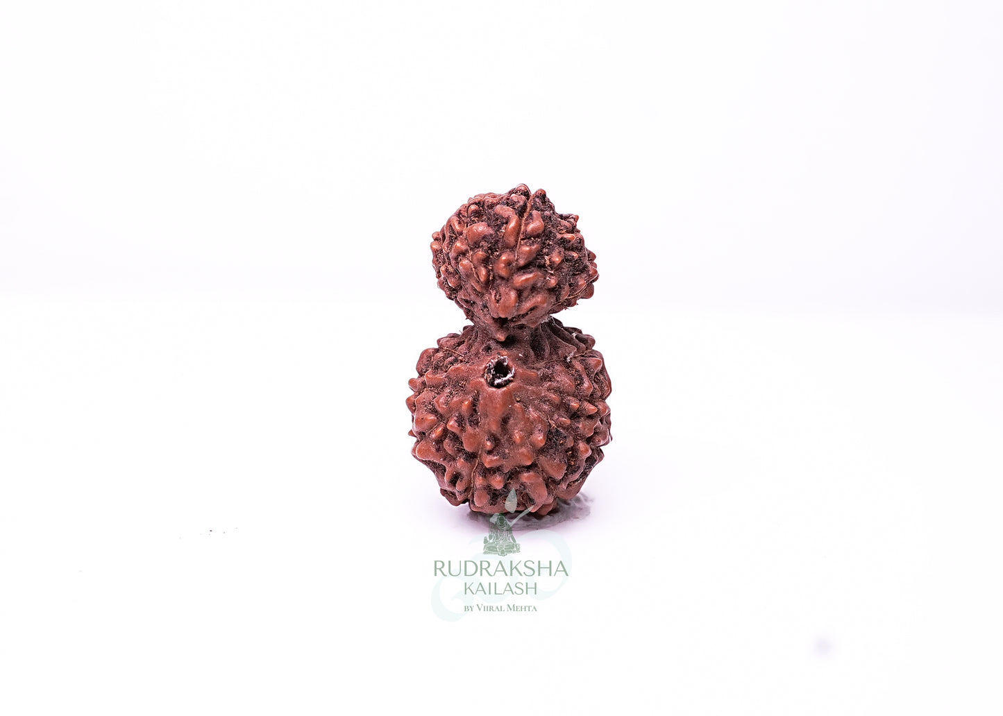 Indonesian Gaurishankar - 01