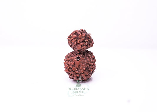 Indonesian Gaurishankar - 01