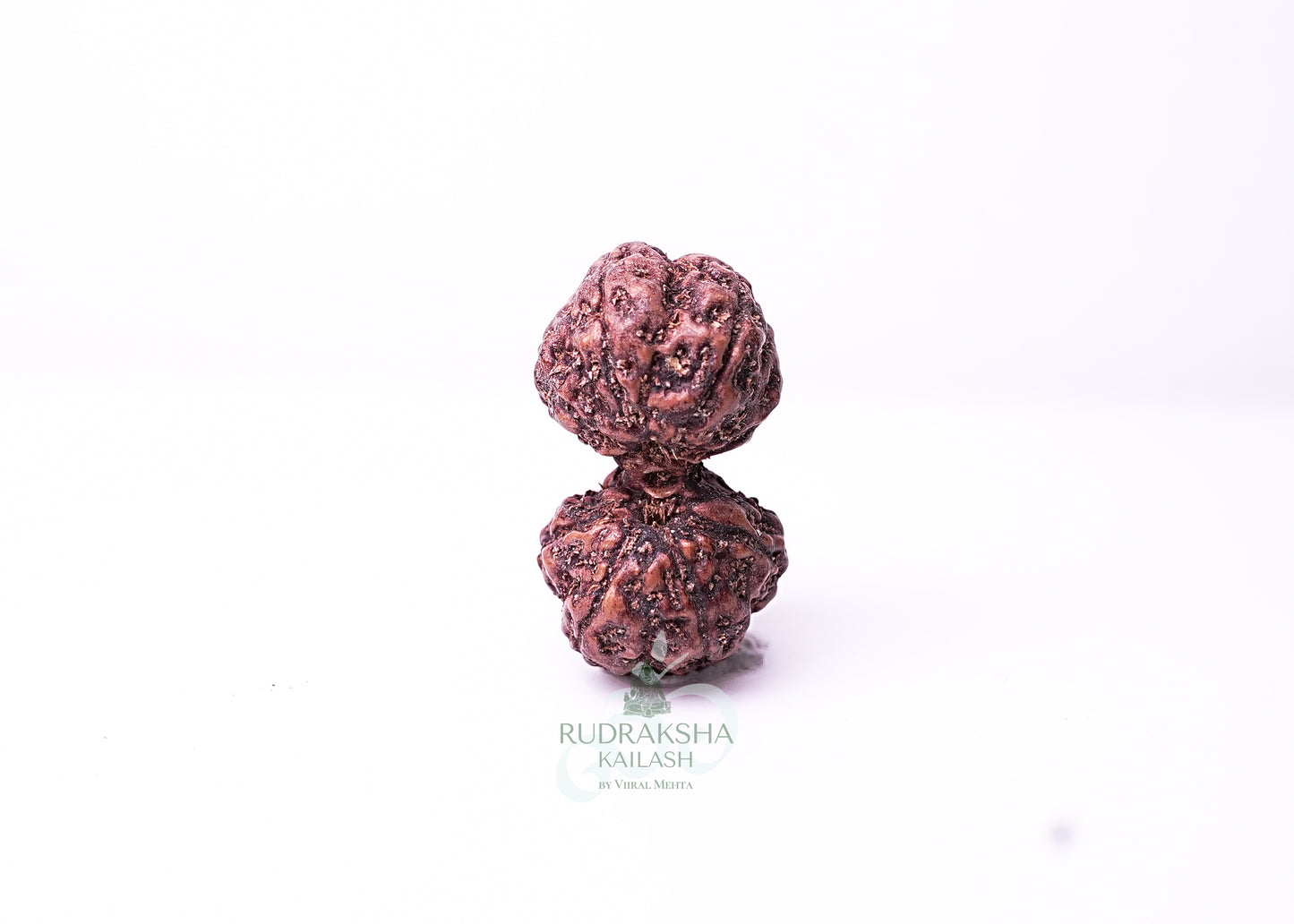 Indonesian Gaurishankar - 02