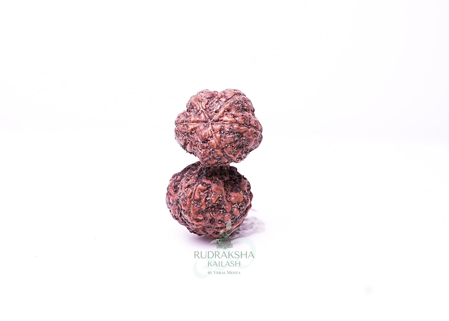 Indonesian Gaurishankar - 02