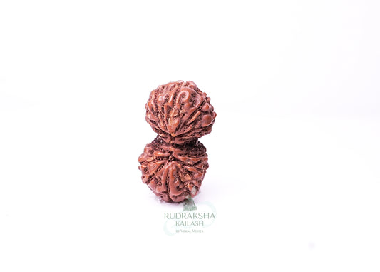 Indonesian Gaurishankar - 05