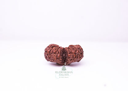 Indonesian Gaurishankar - 05