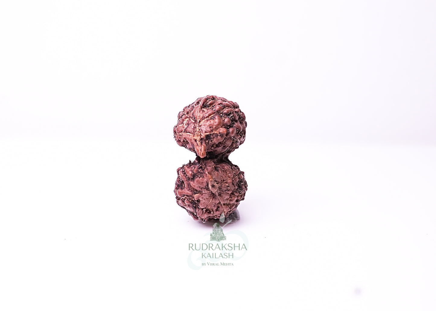 Indonesian Gaurishankar - 06